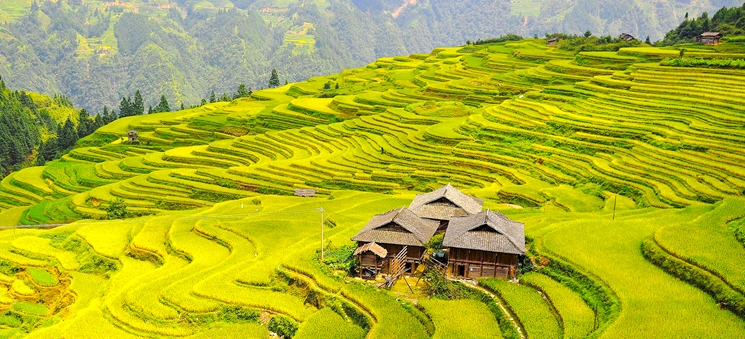 ทัวร์จีน กุ้ยหลิน...ซ่าหริ่ม นาขั้นบันไดหลงจี๋ แม่น้ำหลีเจียง 5 ...